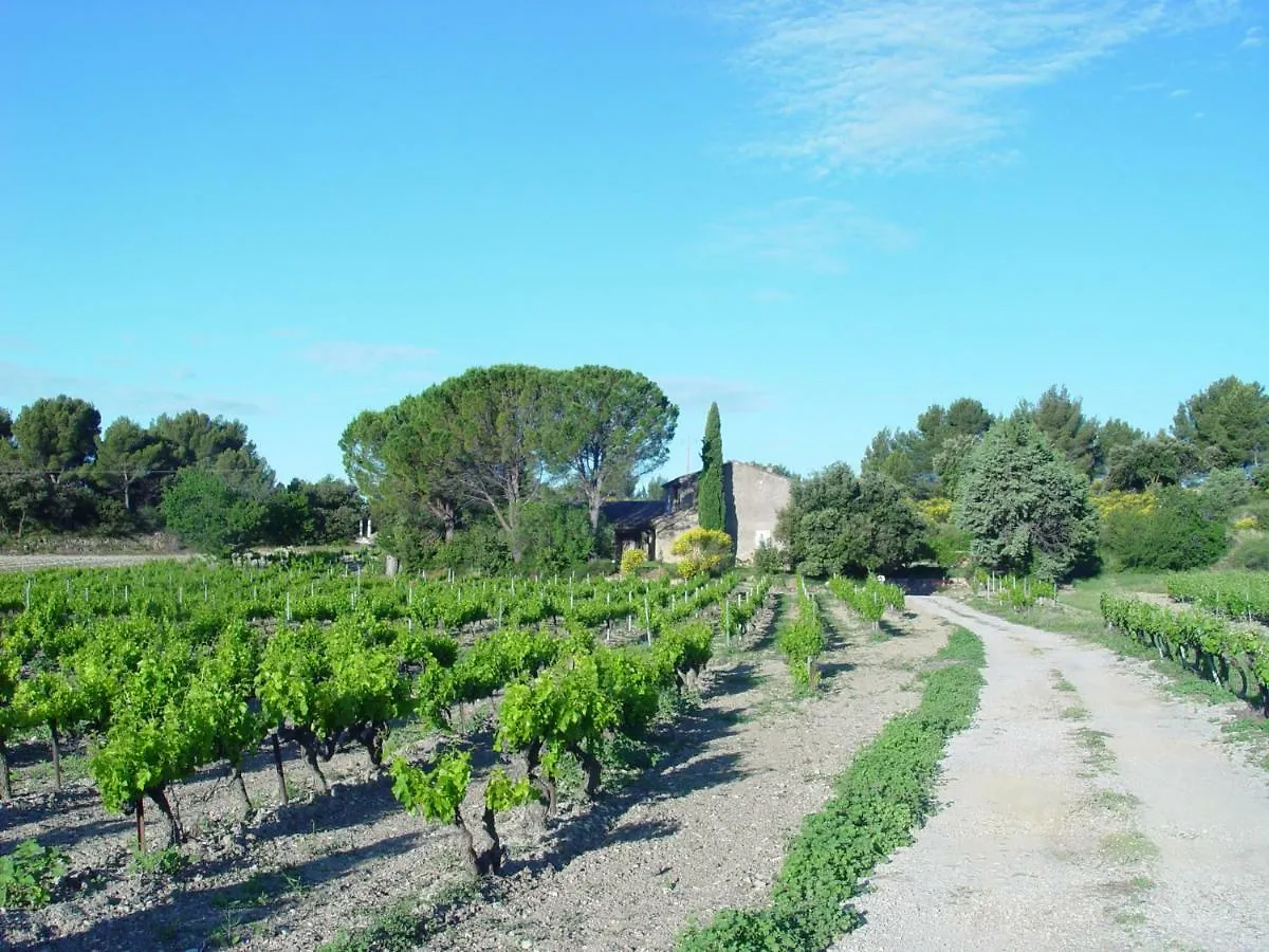Les Ramieres Villa Vacqueyras