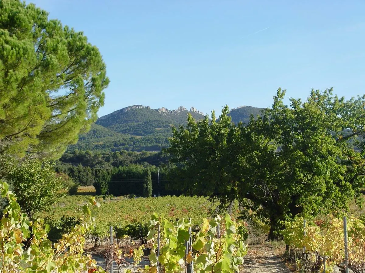 Les Ramieres Villa Vacqueyras 0*,